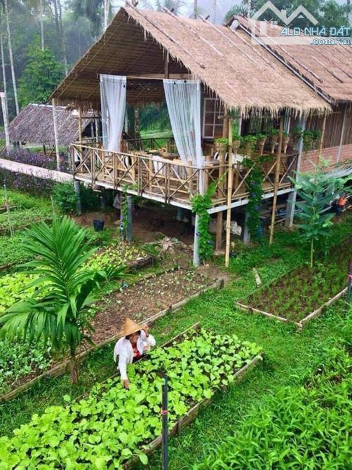 CẦN TIỀN bán gấp đất Đại Phước Nhơn Trạch GẦN ECOPARK, ngộp nặng, giá rẻ 2,5tr/m, CHỦ - 8