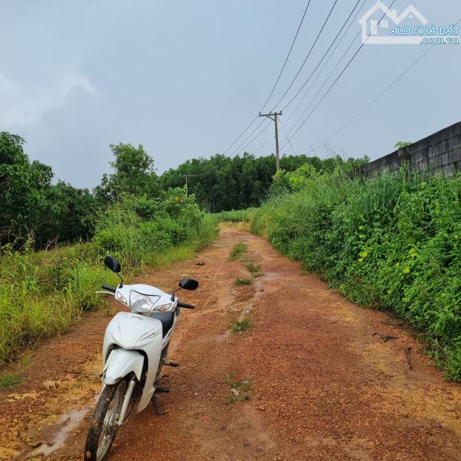 BÁN ĐẤT 1 SẸC QUỐC LỘ 20 3001m2(18mx159m)VƯỜN XOÀI CÁCH QUỐC LỘ 20 2KM CHỈ 1TY1 - 2