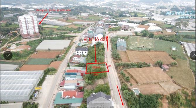 Bán Đất KQH Nguyễn Hoàng P7 TP Đà Lạt - 2