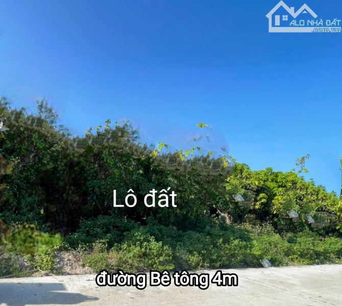 "Bán đất ngộp Cam Hải Tây, Cam Lâm. Nằm ở khu dân cư cách Quốc Lộ 1A chỉ 150m. 800tr - 1