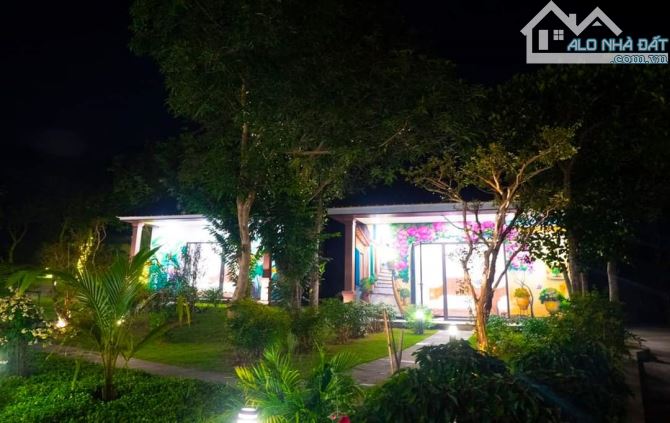 Cơ hội Đẳng cấp tại Maya - Lô Đất 6000m2 Độc Đáo Cạnh Trường Quốc Tế Maya, Tiến Xuân - 3