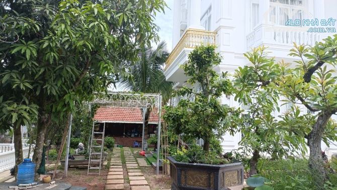 Chủ ngợp Bank giá nào cũng bán, lô đất hơn 2000m2 có thổ ,40x68m,Chỉ 7tr/m2 Trung lập Hạ g - 2