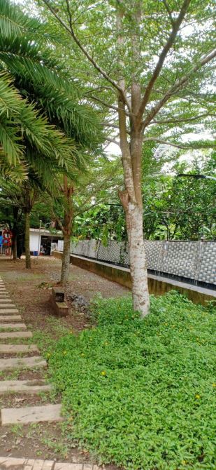 Cần bán gấp khu biệt thự sinh thái vườn, Q9, P. Long Phước. DT 2100m2 giá 21ty