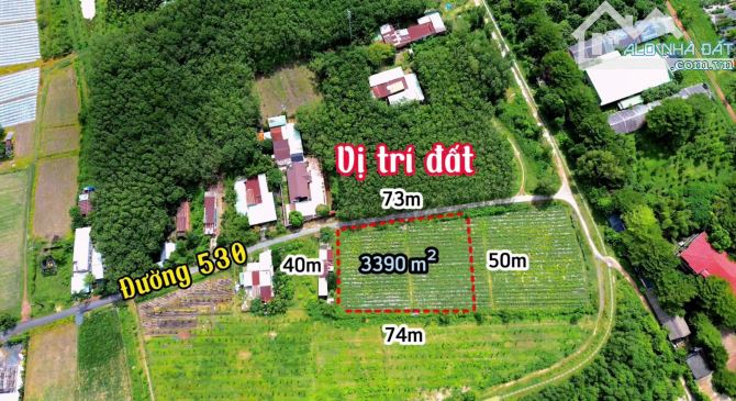 ✨ Diện tích: 3.390m2 (334m2 Thổ Cư), Mặt tiền đường 530, 1/ Nguyễn Thị Rành - GIÁ: 15.5 Tỷ