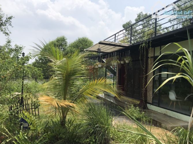 Cần bán gấp khu biệt thự sinh thái vườn, Q9, P. Long Phước. DT 2100m2 giá 21ty - 4