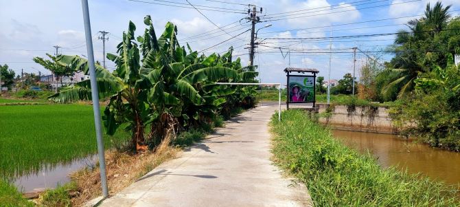 Bán lô dất view lúa ngay trung tâm cánh đồng An Mỹ - 1