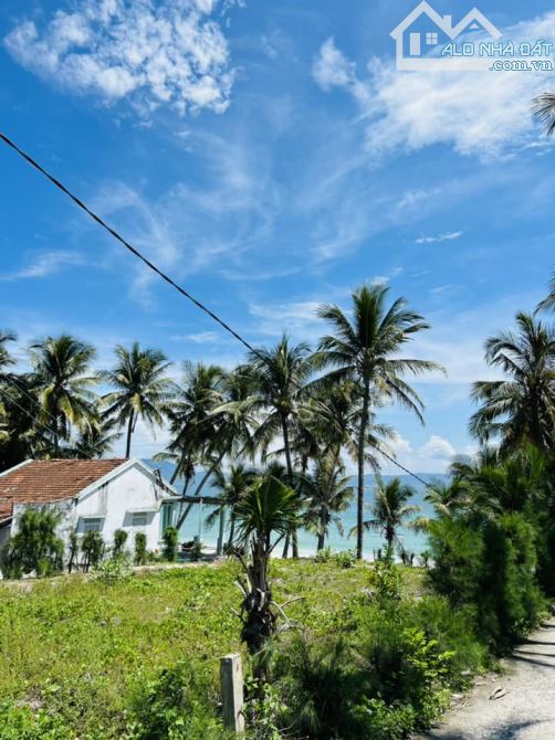 Bán lô dất view lúa ngay trung tâm cánh đồng An Mỹ - 2