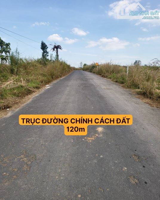 ✨ Gần 1.2 Héc View Suối, 142M Mặt đường, 100M Mặt suối, cách Nhựa Liên Huyện 120m - 709Tr