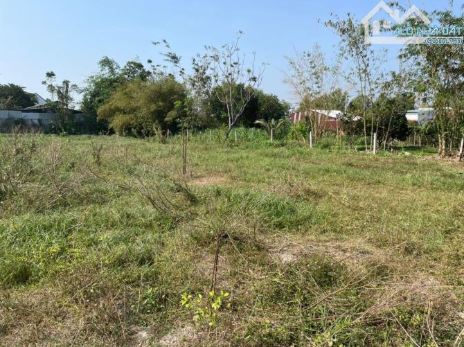 Bán gấp 5,3 ha (53.000m2) đất Phú Hòa Đông, Củ Chi, giá 940 nghìn/m2 - 1