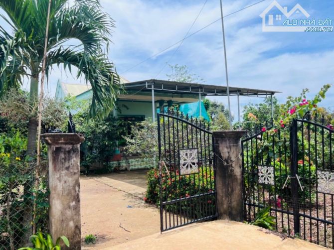 Kẹt tiền bán gấp 1000m2 full hồng, đường bê tông, view hồ Trị An. - 3
