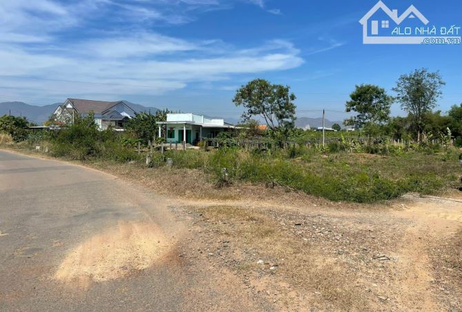Đại Hạ Giá-Đất Hàm Kiệm(Hàm Thuận Nam cũ)-Lâm Đồng-DT 2.870m2 - 1
