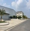 Cho thuê xưởng 5.000 m2 , 7.000 m2 , 9.000 m2 đến 3.ha nằm trong ngoài KCN tại Bầu Bàng