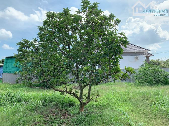 Bán khoảng 1 mẫu 5 (14.959m2) đất Sông Xoài, thị xã Phú Mỹ, BRVT.