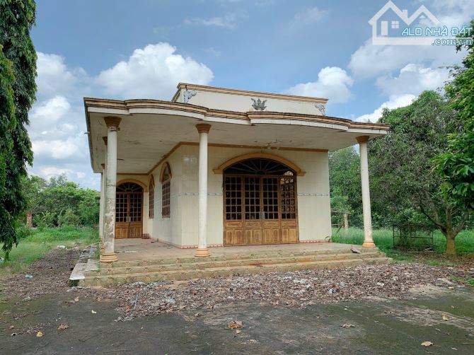 Bán khoảng 1 mẫu 5 (14.959m2) đất Sông Xoài, thị xã Phú Mỹ, BRVT. - 1