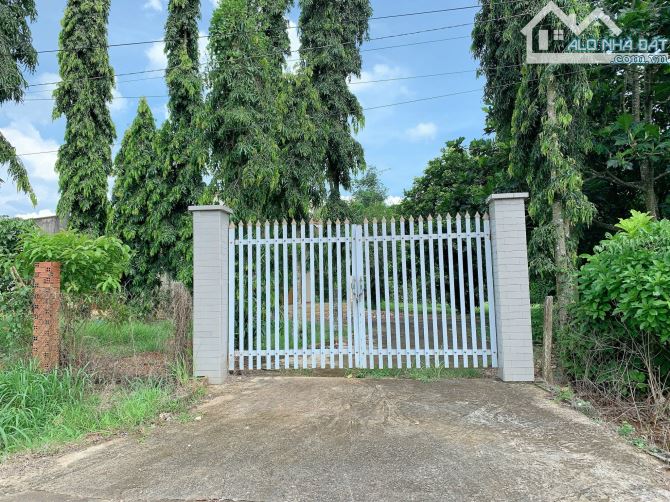 Bán khoảng 1 mẫu 5 (14.959m2) đất Sông Xoài, thị xã Phú Mỹ, BRVT. - 5