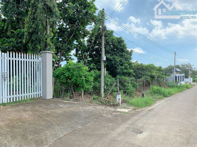 Bán khoảng 1 mẫu 5 (14.959m2) đất Sông Xoài, thị xã Phú Mỹ, BRVT. - 6