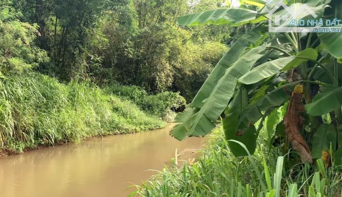 Bán khoảng 9 sào (9119m2) đất Sông Xoài, thị xã Phú Mỹ, BRVT. - 7