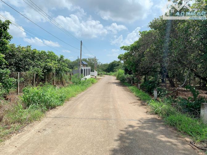 Bán khoảng 1 mẫu 5 (14.959m2) đất Sông Xoài, thị xã Phú Mỹ, BRVT. - 7