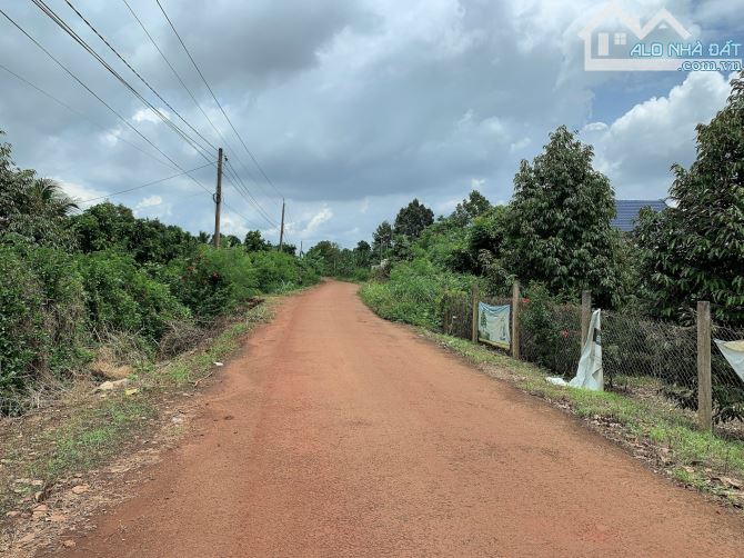Bán khoảng 9 sào (9119m2) đất Sông Xoài, thị xã Phú Mỹ, BRVT. - 9