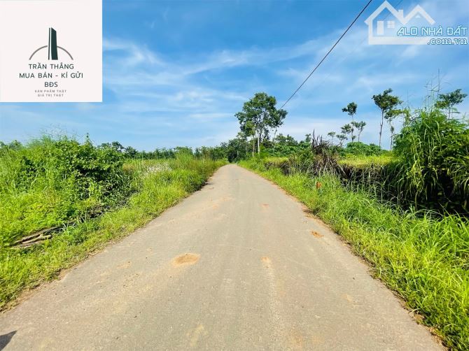 Đất Sào xã Suối Rao - Phủ hồng - Kế bên Khu Nghĩ Dưỡng đang hình thành - 2