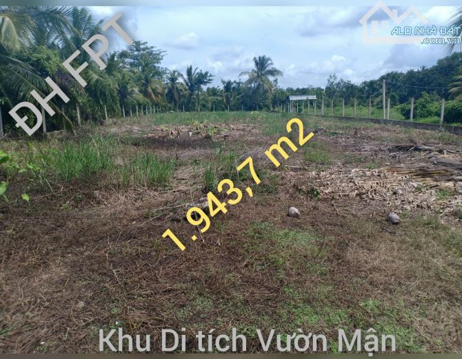 Bán nền 1.943m2 Ngang Bv Nhi Đồng cách Tạ Thị Phi 20m lộ 4m ( có 200m2 thổ cư ) - 2