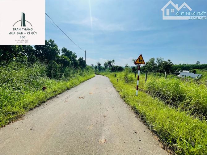 Đất Sào xã Suối Rao - Phủ hồng - Kế bên Khu Nghĩ Dưỡng đang hình thành - 3