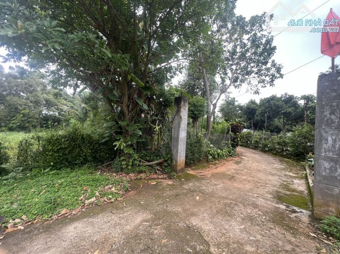 BÁN 1535 M2 ĐẤT HẺM 220 Y WANG RẼ PHẢI - 1