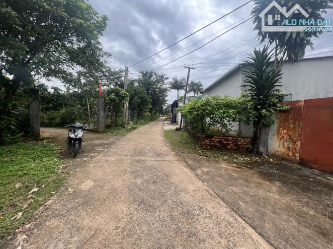 BÁN 1535 M2 ĐẤT HẺM 220 Y WANG RẼ PHẢI - 2