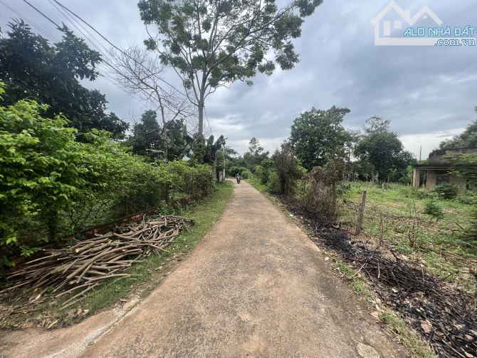 BÁN 1535 M2 ĐẤT HẺM 220 Y WANG RẼ PHẢI - 3