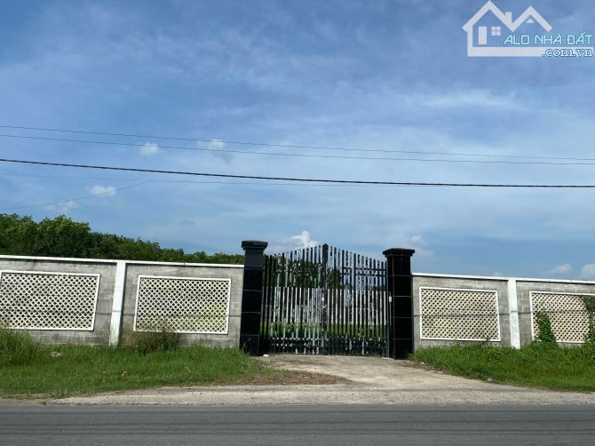 Cần bán đất mặt tiền đường Nguyễn Thị Rành xã An Nhơn Tây Củ Chi 50x100 tổng gần 5000m2 - 1