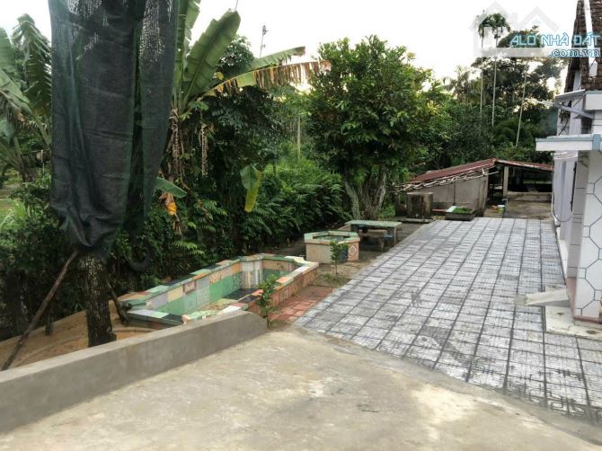 Bán đất MT Nguyễn Thị Rành, Phú Mỹ Hưng Củ Chi, 2294m2 (22.5x113) sẵn nhà vườn cây ăn trái - 2