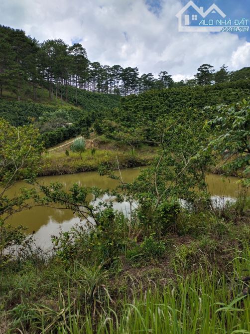 Bán đất Xuân Thọ Đà Lạt view thung lũng - 3