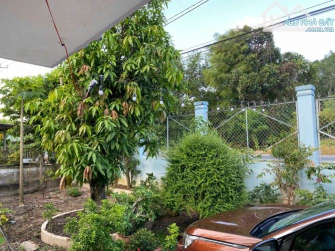 Bán đất MT Nguyễn Thị Rành, Phú Mỹ Hưng Củ Chi, 2294m2 (22.5x113) sẵn nhà vườn cây ăn trái - 4
