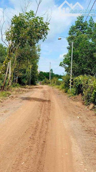 BÁN ĐẤT 1 SẸC QUỐC LỘ 20 KHU DÂN CƯ  2000M2(26MX77M) VƯỜN XOÀI CÁT HÒA LỘC CÁCH QUỐC LỘ 20 - 1