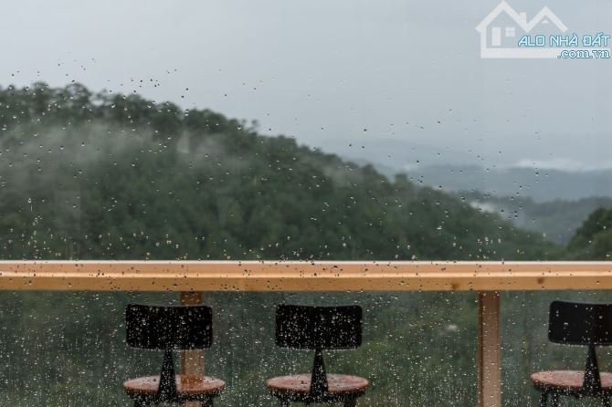 Bán nhà mô hình kinh doanh sẵn mặt tiền Hoàng Hoa Thám P10 Đà Lạt view thung thũng - 3
