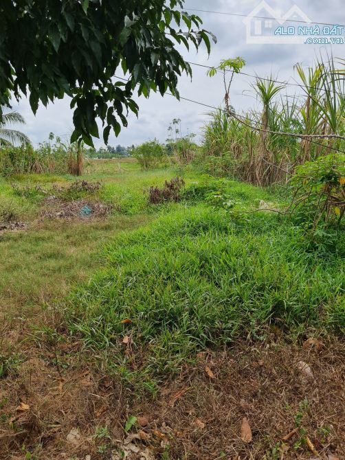 Đất mt đường Bùi Tấn, xã Nhơn Thạnh Trung, TP Tân An