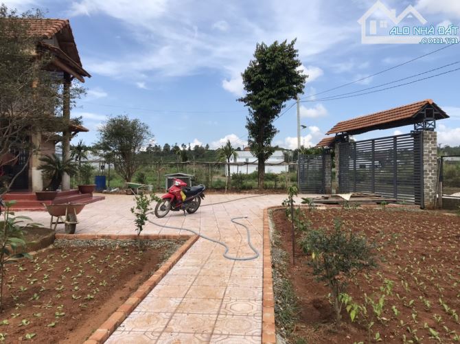 Sân vườn Lộc Châu Bảo Lộc, giáp sông tuyệt đẹp. - 1