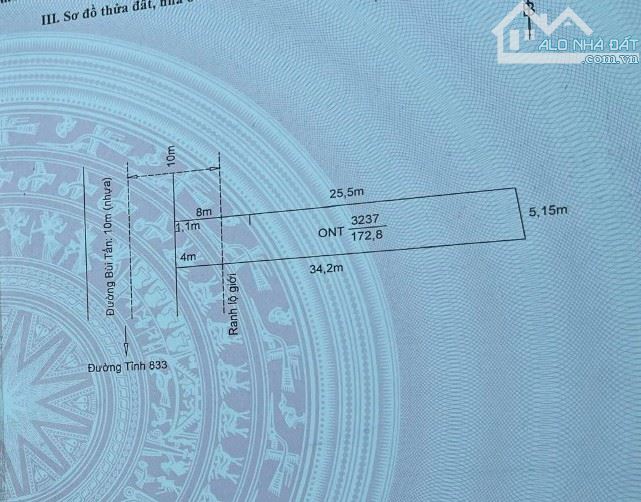 Đất mt đường Bùi Tấn, xã Nhơn Thạnh Trung, TP Tân An - 3
