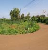 Đất vườn hơn 2000m2 góc 2 mặt tiền đường nhựa Long Phước cách chợ 1.5km