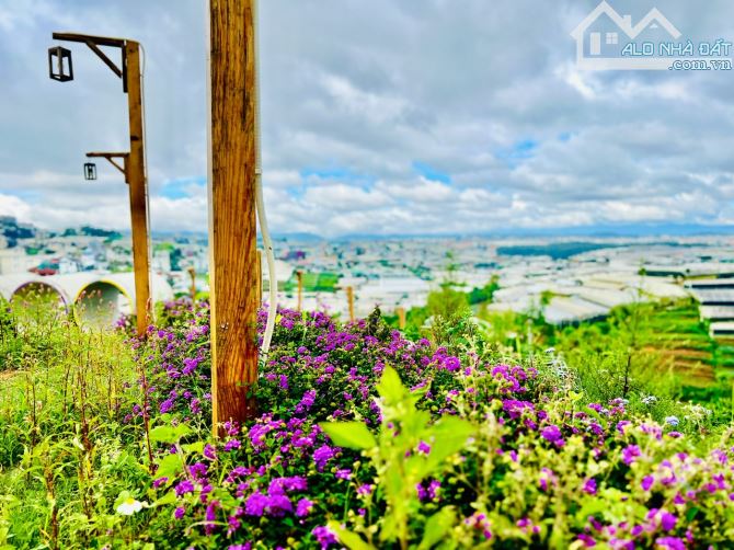 BÁN MỘT CHIẾC VIEW BAO QUÁT TOÀN THÀNH PHỐ THUẬN LỢI KINH DOANH QUÁN NƯỚNG ĐÀ LẠT - 1