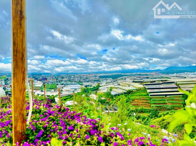 BÁN MỘT CHIẾC VIEW BAO QUÁT TOÀN THÀNH PHỐ THUẬN LỢI KINH DOANH QUÁN NƯỚNG ĐÀ LẠT - 2