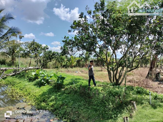 BÁN ĐẤT VIEW SUỐI THỀ SÔNG RAY CÂM MỸ ĐỒNG NAI, DT 3000M2 GIÁ 1.1 TI/SÀO, KHU DÂN CƯ - 2