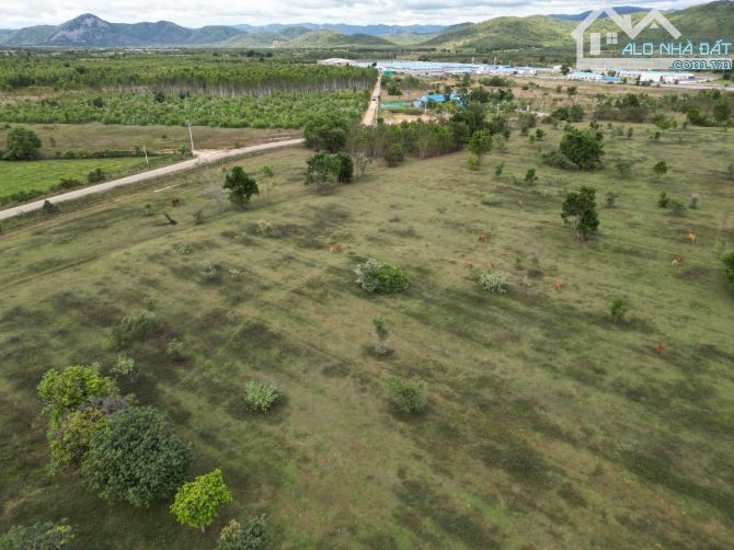 Đất No Mặt Tiền gần QL 22 Tân Hiệp Hóc Môn Giá Cho Nhà Đầu Tư gần 1,3ha Chỉ 4tr/1m2 - 1