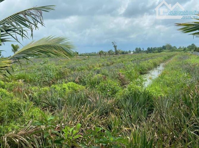 BÁN 10.958M VUÔNG ĐẤT KHÓM TẠI XÃ TÂN TIẾN THÀNH PHỐ VỊ THANH HẬU GIANG - 4