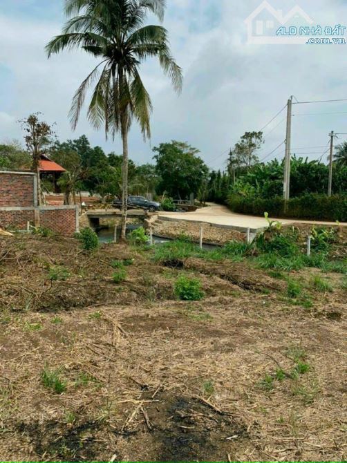 BÁN VIEW NGHĨ DƯỠNG SUỐI THỀ SÔNG RAY CẨM MỸ ĐÒNG NAI, DT 6100M2 NƯƠC QUANH NĂM - 5