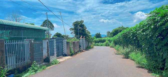 BÁN ĐẤT THỊ TRẤN ĐẤT ĐỎ BÀ RỊA VŨNG mặt tiền đường nhựa