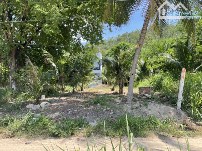 Bán Đất Biệt Thự( 8x34m) 100% Thổ- Mặt Sông Cái Nha Trang Cạnh I-resort Nha Trang - 2