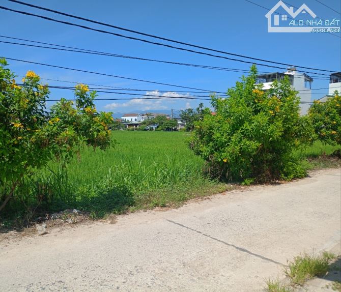 Bán đất lúa quy hoạch thổ cư Phú Ân Nam 2, Diên An, Diên Khánh. Cách đường 23/10 khoảng 38 - 1