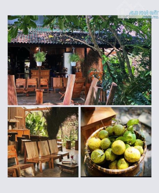 Vườn trái cây gần hồ Trị An, Đồng Nai. Thích hợp làm farmstay nghỉ dưỡng. Giá chỉ 650tr - 1