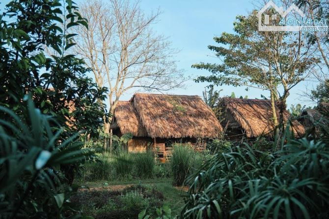 Vườn trái cây gần hồ Trị An, Đồng Nai. Thích hợp làm farmstay nghỉ dưỡng. Giá chỉ 650tr - 2